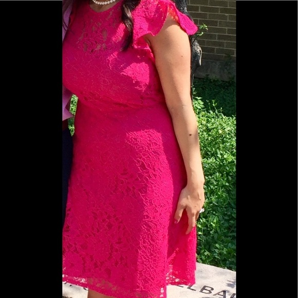 Eliza J - Lace Fit & Flare Dress with Flutter Sleeve - Picture 11 of 11